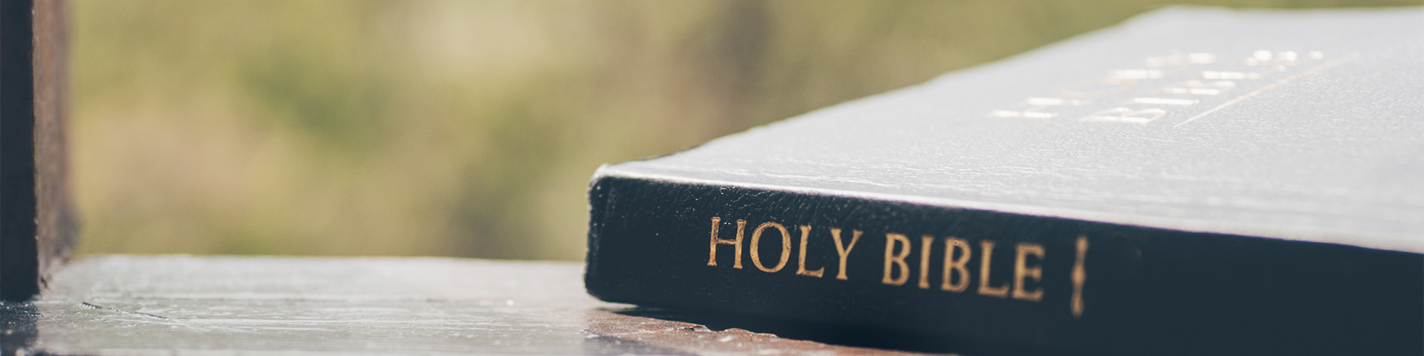 24 Juni 2025 - Rooted in the Word