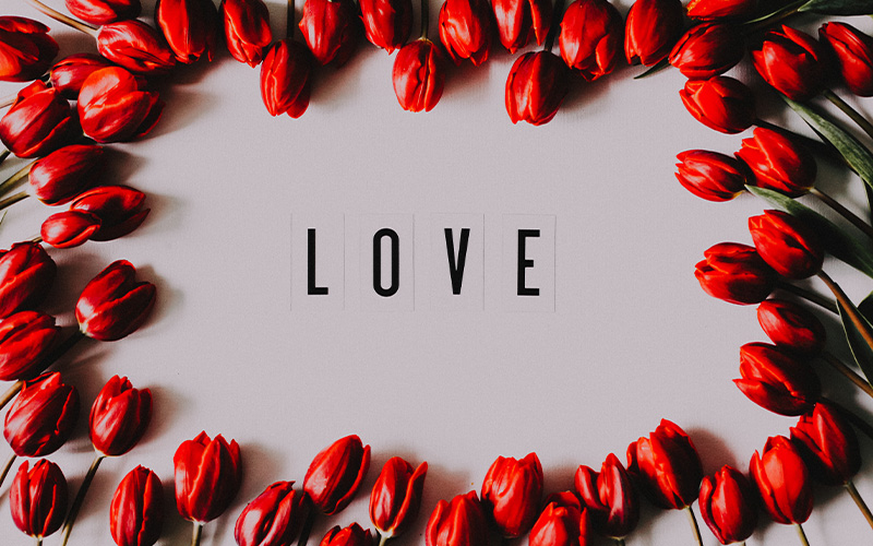 27 Juni 2025 - Rooted in Love
