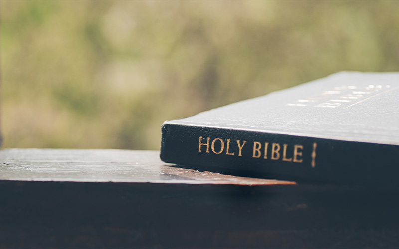 24 Juni 2025 - Rooted in the Word